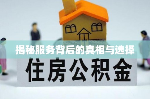 福鼎揭秘服务背后的真相与选择