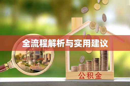 福鼎全流程解析与实用建议