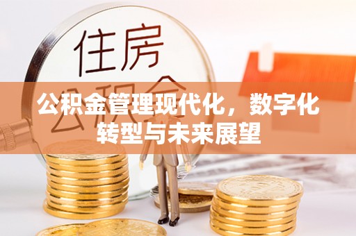福鼎公积金管理现代化，数字化转型与未来展望