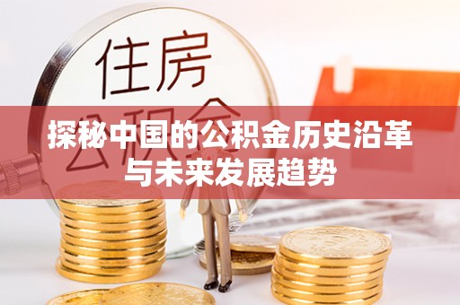 福鼎探秘中国的公积金历史沿革与未来发展趋势