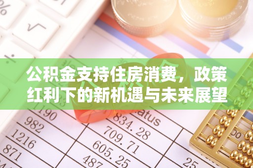 福鼎公积金支持住房消费，政策红利下的新机遇与未来展望