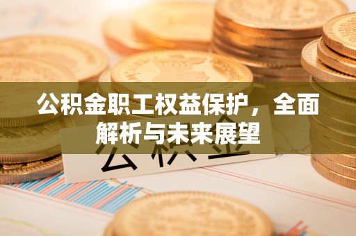 福鼎公积金职工权益保护，全面解析与未来展望