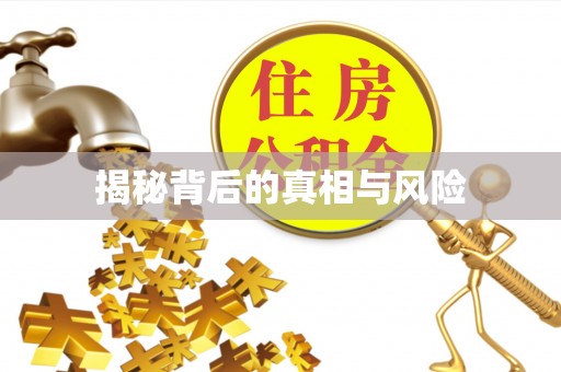 福鼎揭秘背后的真相与风险