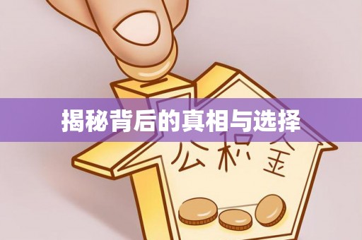 福鼎揭秘背后的真相与选择