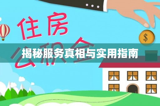 福鼎揭秘服务真相与实用指南