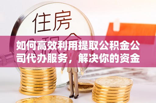 福鼎如何高效利用提取公积金公司代办服务，解决你的资金难题