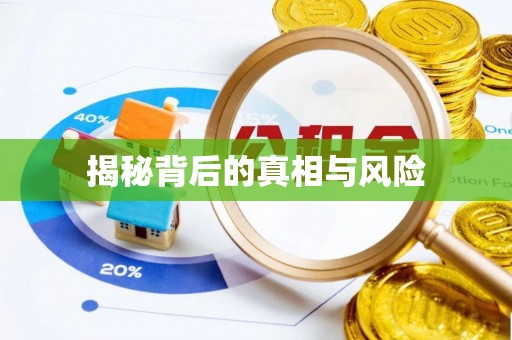福鼎揭秘背后的真相与风险
