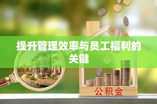 福鼎提升管理效率与员工福利的关键