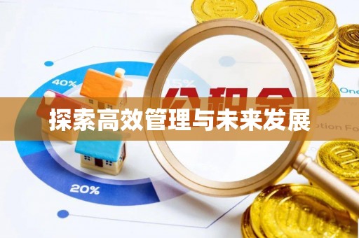福鼎探索高效管理与未来发展