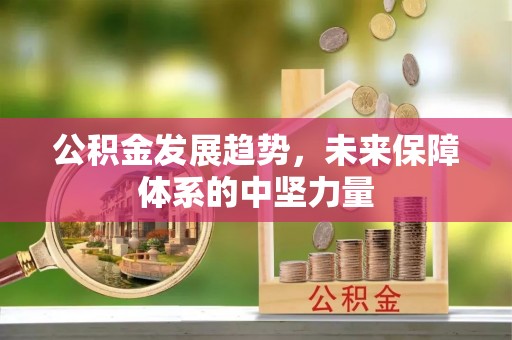 福鼎公积金发展趋势，未来保障体系的中坚力量