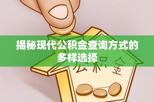 福鼎揭秘现代公积金查询方式的多样选择