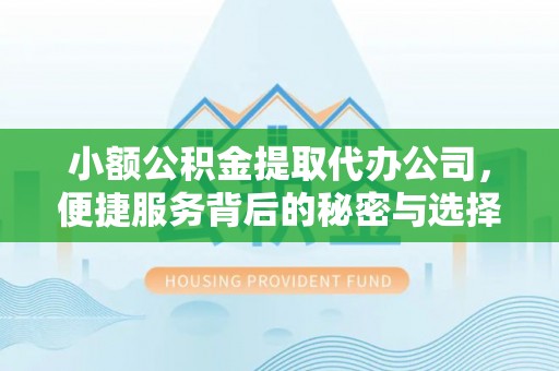 福鼎小额公积金提取代办公司，便捷服务背后的秘密与选择指南