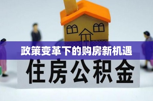 福鼎政策变革下的购房新机遇