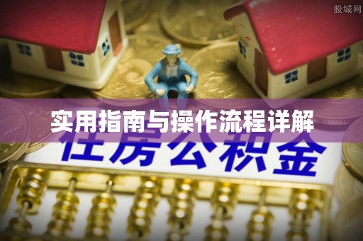 福鼎实用指南与操作流程详解