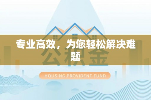 福鼎专业高效，为您轻松解决难题