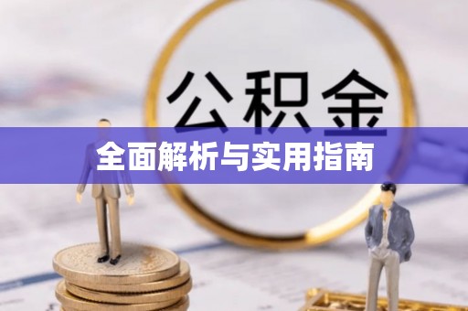 福鼎全面解析与实用指南